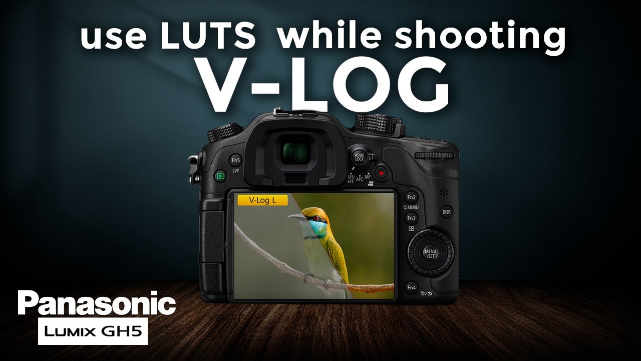 GH5のすごい機能の使い方、カスタムLUTをGH5にロードしてV-logで撮影中