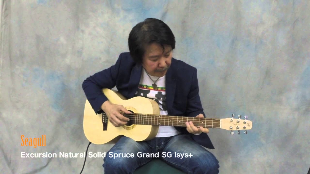 【売却済】シーガルNatural Solid Spruce Grand SG T35 売却済】シーガルNatural Solid Spruce Grand SG T35 【公式通販】