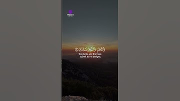 الشمس والقمر بحسبان | تلاوة تأسر القلب من سورة الرحمن