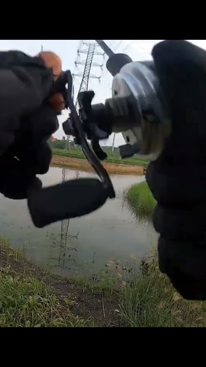 touch the water and immediately fall prey #fishing #funfishing #angler #wildfishing #fish #fyp #fy