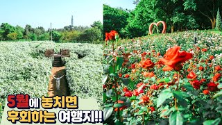 [SUB]5월에 어디갈지 고민이라면 이 영상 하나로 고민 종결