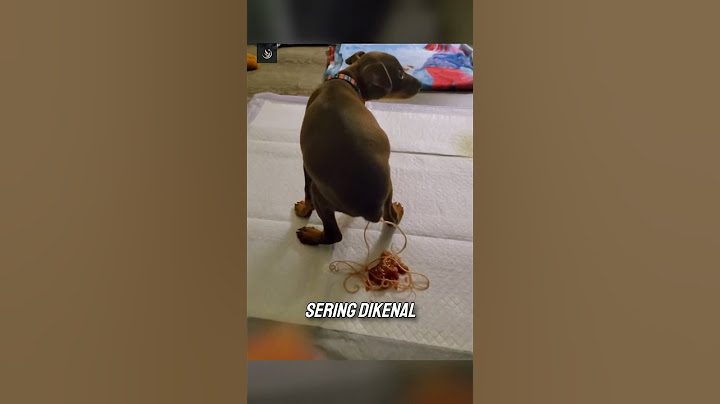 cacing panjang yang keluar dari dubur hewan