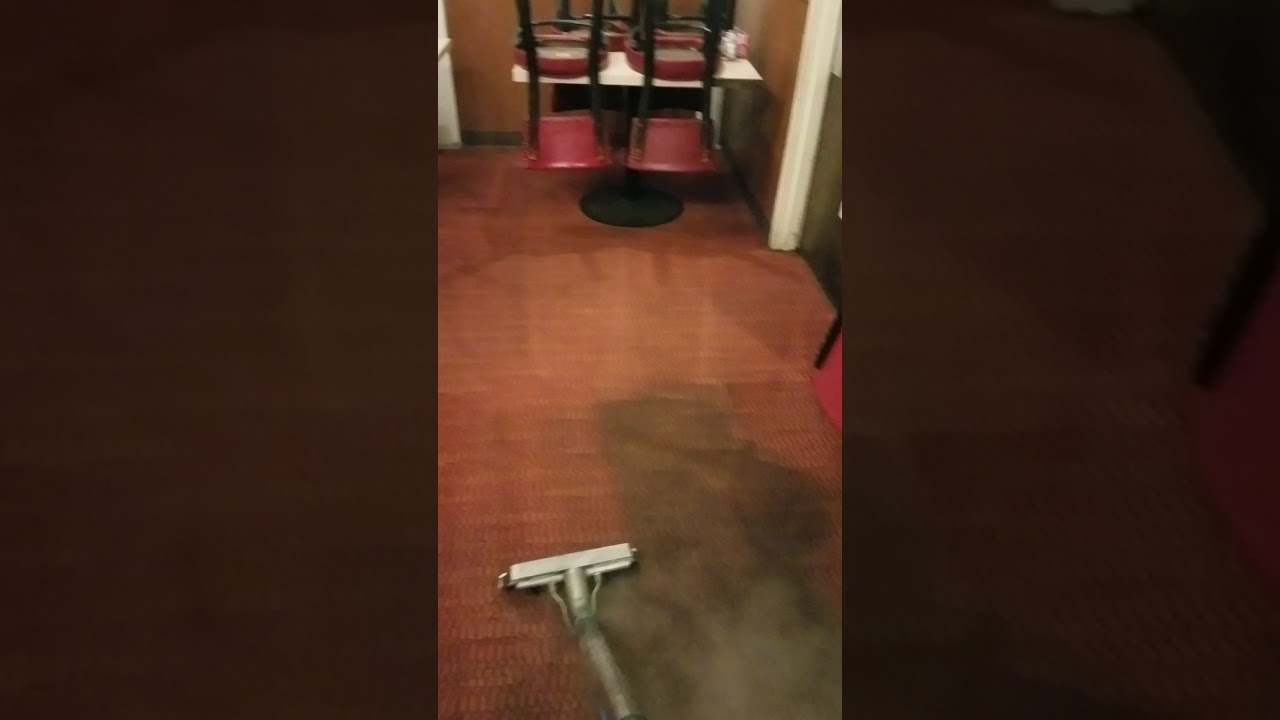 San Diego Carpet Cleaning YouTube