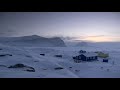 Artico  vivere nel freddo glaciale