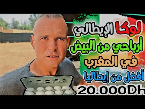 لوكا لإيطالي باع 200 بقرة ومزرعته في تورينو وهاجر للمغرب هذه كانت قصته في تربية الدجاج بدكالة