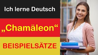 : Cham"aleon ICH LERNE DEUTSCH mit Texten und Bildern in unterschiedlichen Situationen.