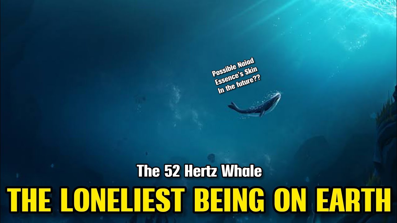 [Memory's Tale] The Lament of the 52-Hertz Whale: A Symphony of