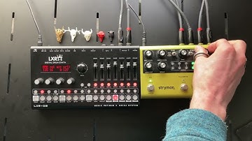 Erica LXR-02 with Strymon Volante Hardware Drum Synth Tape Echo Jam
