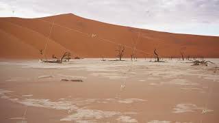 Scenic Deadvlei landscape with ancient dead camel thorn trees and red sand dunes of Sossusvlei screenshot 5