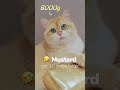 🤣Cat Mustard Got 10 Times Fatter - #funny #cat #cute