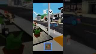 Carro Bom Carro Bom Carro Bom Carro Bom Carro Bom Carro Bom Caom Carro Bom Carro Bom