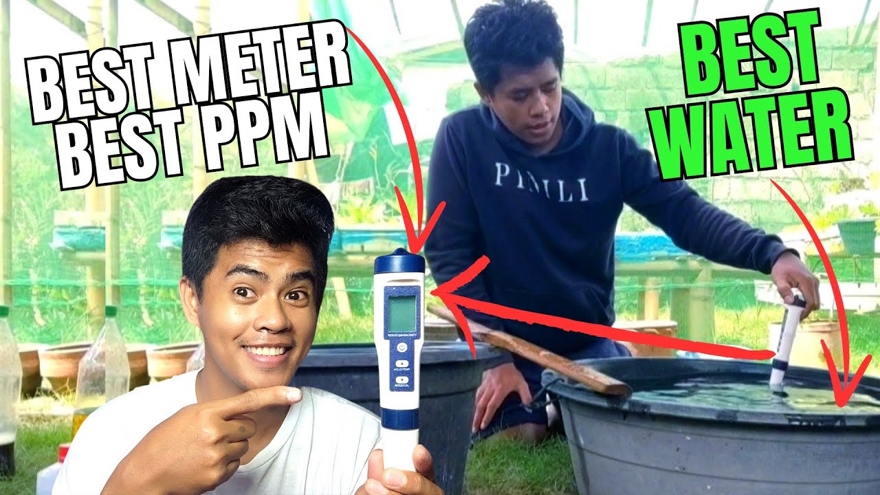Para Ito Sa Mga NAGUGULUHAN Pa Rin 👀| (Hydroponics Tutorial for Beginners)