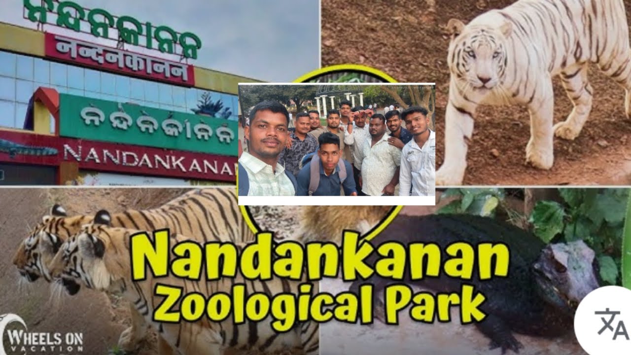 We visited odisha's largest zoological park in Bhubaneswar 