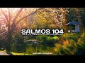 SALMOS 104 (narrado completo)NTV @reflexconvicentearcilalope5407 #biblia #salmos #cortos #parati