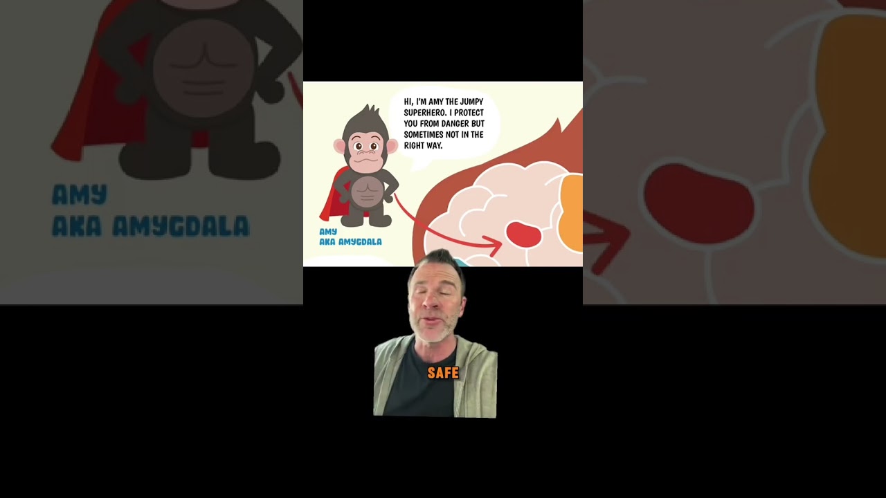 Neurology 101 - Basics of Nervous System (Speech Dude)