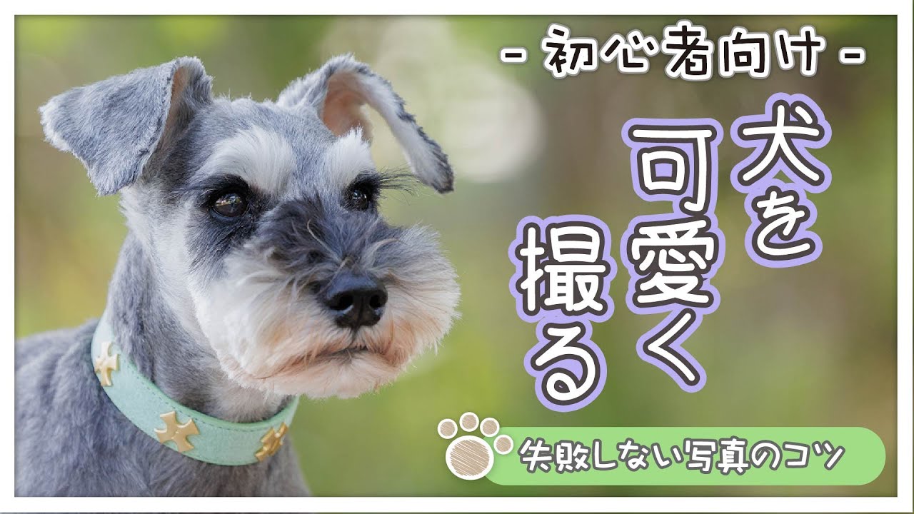 【写真教室】初心者向け！はじめてでもペットを可愛く撮るための簡単ワンポイント【北総花の丘公園】