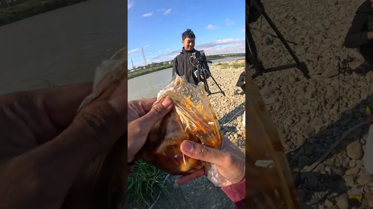 Day 1 vlog mancing ikan belanak di sungai taiwan