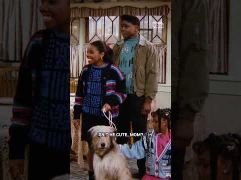 Eddie Winslow brings home a dog 🐶 #FamilyMatters | TBS