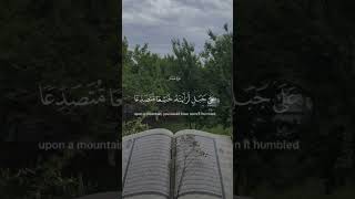 لو انزلنا هذا القران |سوره الحشر أرح_قلبك_بهذه_التلاوة