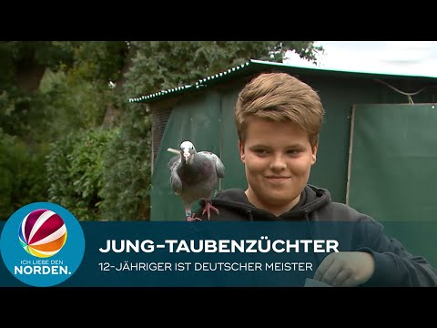 Video: 3 Möglichkeiten, Fische zu einem neuen Aquarium hinzuzufügen