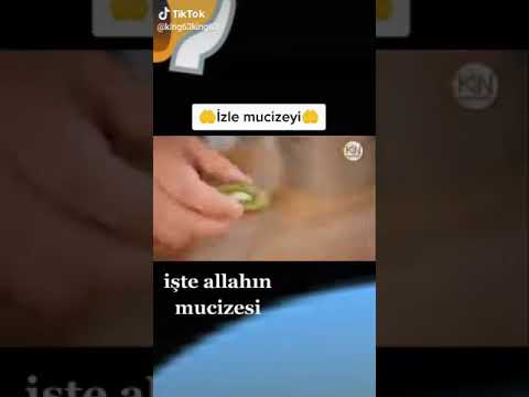 Allahin möcüzəsi