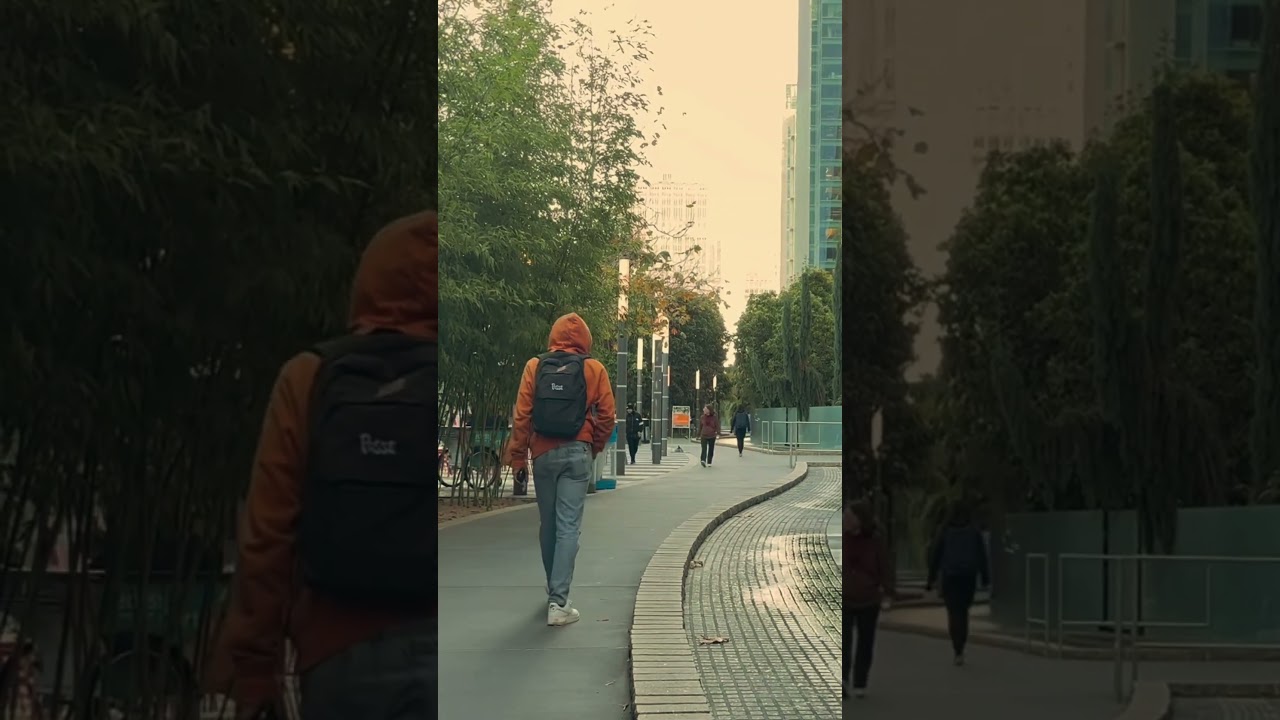 Beautiful city of San Francisco 