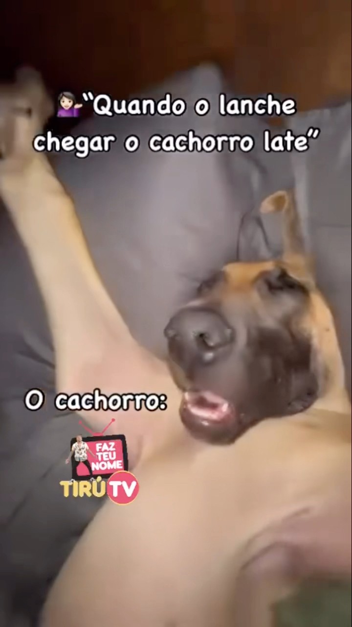 Sextou e nós tá como? #humor #memes #tirulipa #comedia