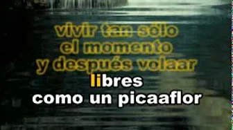 Raul Santi - Como un Picaflor. Karaoke Raul Santi - Como un Picaflor. Karaoke