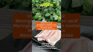 Sering Diremehkan? Ini dia Manfaat Lele bagi Manusia! #lele #lelefillet