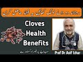 Clove benefits in urdu  health benefits of cloves  laung khane ke fayde  dr asif izhar