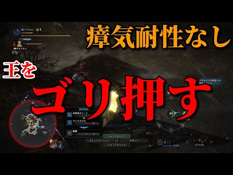 瘴気耐性を捨てて火力に全部振り切った モンスターハンターワールド Mhw Youtube