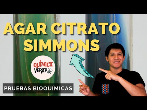 Video: ¿Para qué se utiliza el agar citrato?