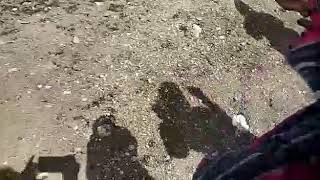 Story Wa Puncak Gunung Slamet