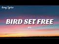 Sia - Bird Set Free ( Lyrics ) 🎵