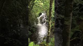 Waterfall along Grizedale Beck in the Lake District @yasminshikingmission