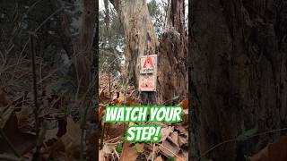 Dont let them sneak up on you, DIY Mousetrap Security Alarm! #camping #bushcraft  #survival