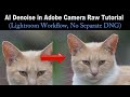 Ai Denoise in Adobe Camera RAW Tutorial (Lightroom/Photoshop Workflow, No Separate DNG File Needed)