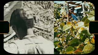 Alwandeunmasteredofficial Visualiser