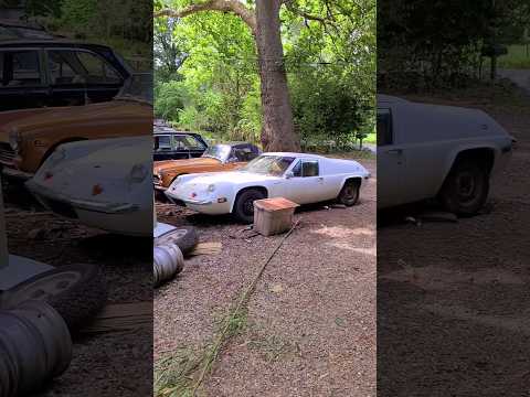 Lotus Europa Revival part 1 #automobile #restoration #projectcar