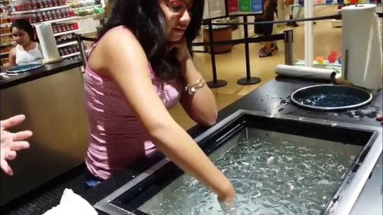 Wax Hand at Yankee Candle Village Part 1 YouTube