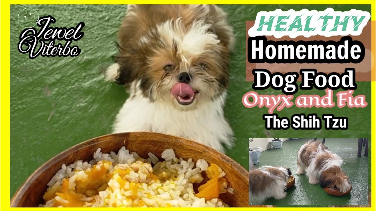 FIRST VLOG IN 2021 HEALTHY HOMEMADE DOG FOOD Jewel Viterbo YouTube
