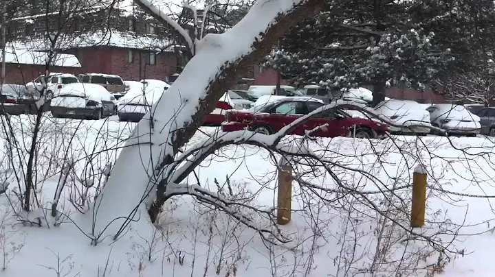 Snow day