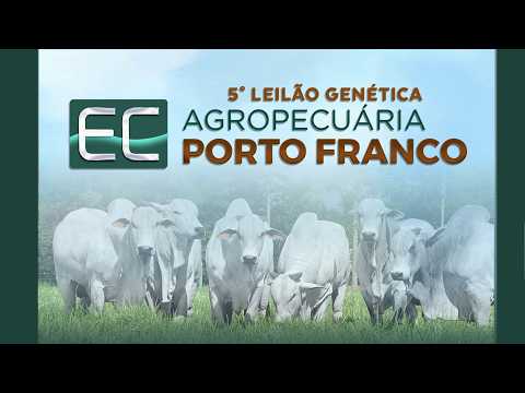 LOTE 35