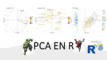 Análisis de Componentes Principales (PCA) en R y Rstudio [Chupito de R] pca