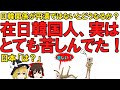 【ゆっくり解説】在日韓国人さん、実は日本で滅茶苦茶苦しんでいた！やはりその苦しみを救ってあげるには祖国に返してあげるしかないですよね？了解です！【在外同胞】