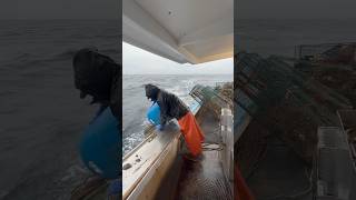 Rough weather Maine Lobster Fishing #maine #lobster #fishing #nature #shorts