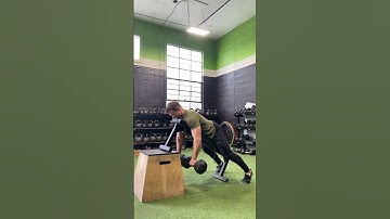 Chest Supported DB Row (pronated grip)