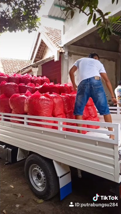 Proses pengiriman cabe sampai pasar gadang malang