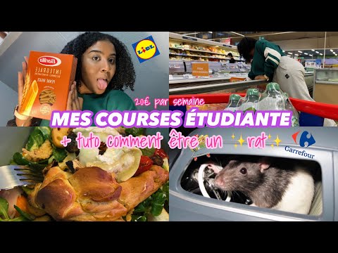 MES COURSES D’ÉTUDIANTE POUR 20€ PAR SEMAINE: MA VIE DE RAT EPISODE 1 ✨