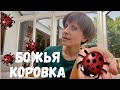 Пальчиковые игры для детей 2-4 лет. БОЖЬЯ КОРОВКА. СЕМЬЯ. Развиваем речь и моторику. Играем дома.